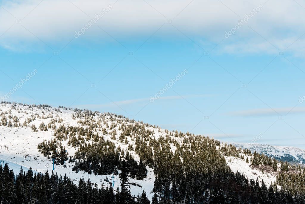 HayDmitriy