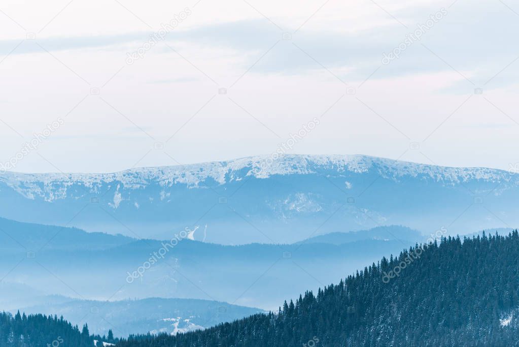 HayDmitriy