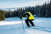 Rückansicht des Skifahrers im Helm beim Skifahren auf Schnee in der Nähe von Tannen
