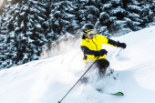 Sonnenschein für Skifahrer mit Skibrille und Helm, die Skistöcke in der Nähe von Tannen halten 