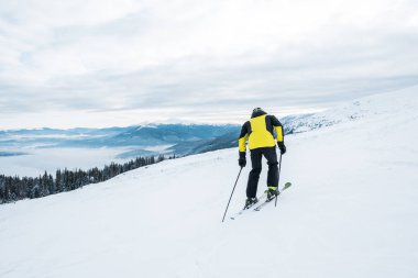 Kayak sopası tutan ve beyaz yamaçta kayan sporcunun arka plan görüntüsü