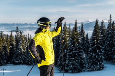 Kask takmış yakışıklı kayakçının yanında gün ışığı Dağlarda çamların yanında duruyor 