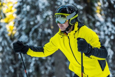 skier in helmet holding ski sticks in winter  clipart