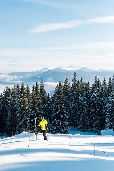 Skier Holding Ski Sticks Standing Snow Pines — Stock Photo, Image