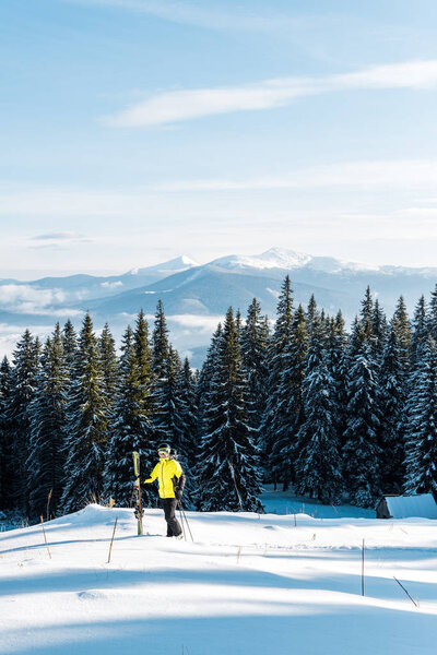 skier holding ski sticks and standing on snow near pines 