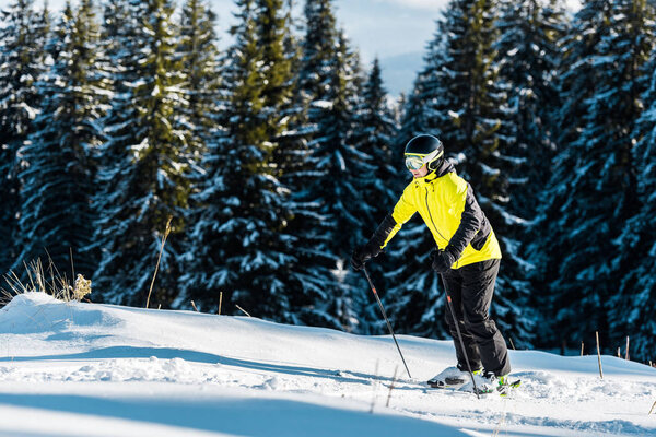 skier in helmet holding ski sticks while skiing on snow near firs