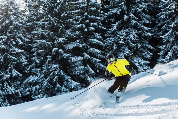 Esquiador Con Gafas Casco Sosteniendo Bastones Esquí Esquiando Cerca Pinos —  Fotos de Stock