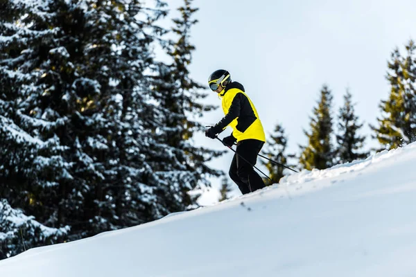 Sportsman Goggles Och Hjälm Håller Skidstavar Medan Skidåkning Nära Firs — Stockfoto