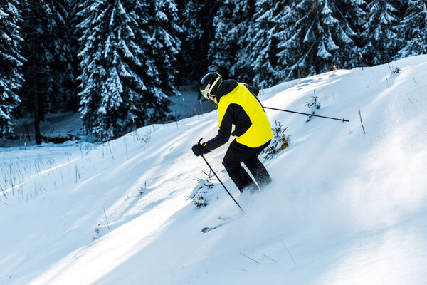 sportsman in helmet holding ski sticks while skiing on snow near pines 