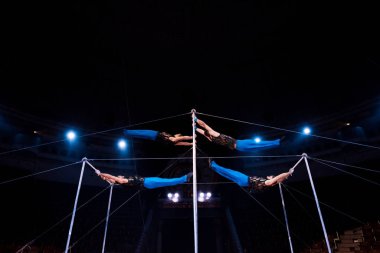 low angle view acrobats performing on horizontal bars in circus   clipart