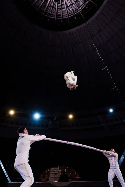 Акробати Тримають Полюс Дивляться Гімнаста Який Стрибає Цирку — стокове фото