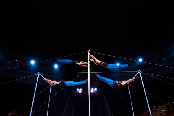 Acrobatas Visão Baixo Ângulo Atuando Barras Horizontais Circo — Fotografia de Stock