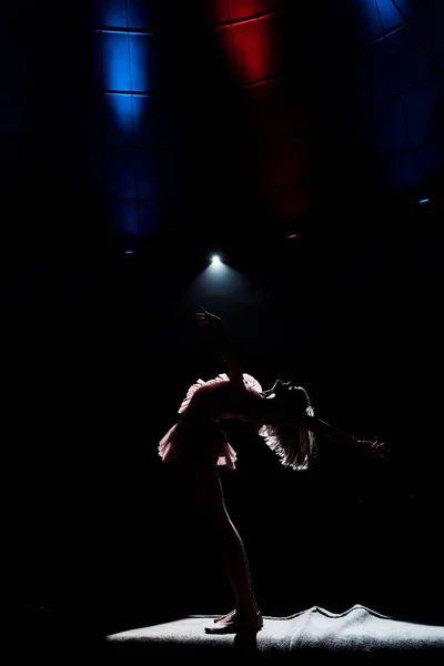 Silhouette Acrobate Aérien Sur Corde Dans Arène Cirque — Photo