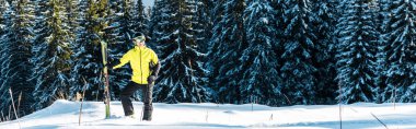 Kayakçının kayak sopası tutarken ve çam ağaçlarının yanında karların üzerinde dururken panoramik bir görüntüsü.