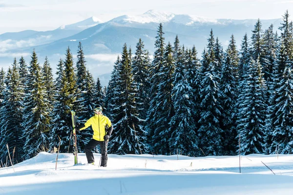 Esquiador sosteniendo bastones de esquí mientras está de pie en la nieve cerca de abetos — Foto de Stock