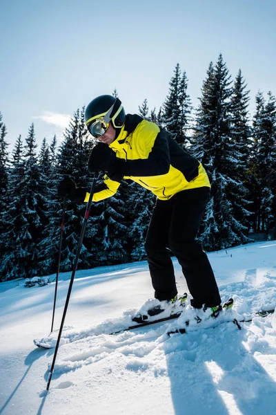 Esquiador em óculos e capacete esqui na neve perto de abetos — Fotografia de Stock