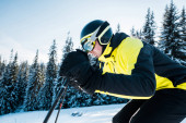 Schöner Skifahrer mit Helm auf Schnee in der Nähe von Tannen