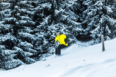 Gözlüklü sporcu, köknar yakınlarında kayak yaparken elinde kayak sopası tutuyor.