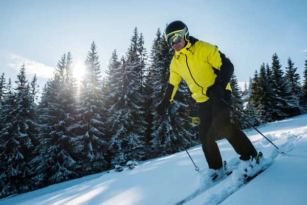 Zonneschijn bij skiër in helm skiën op sneeuw in de buurt van sparren — Stockfoto
