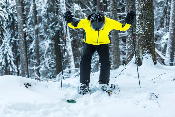 Skier in helmet holding ski sticks while standing near firs in winter — Stock Photo, Image