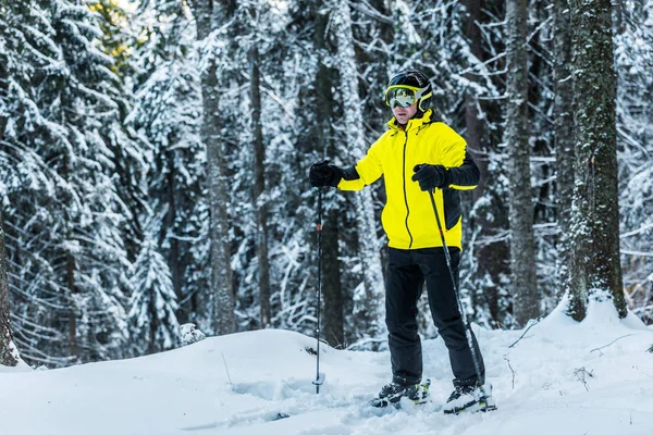 Skier in helmet holding ski sticks while standing near pines in wintertime — Stock Photo, Image