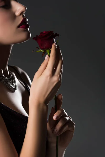 Bella Tenera Donna Possesso Fiore Rosa Isolato Grigio — Foto Stock