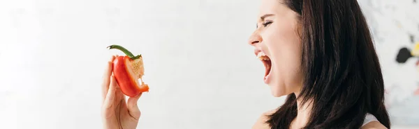 Panoramic Shot Young Woman Grimacing While Holding Piece Bell Pepper — Stock Photo, Image