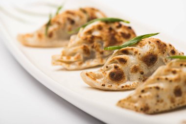 close up view of delicious gyoza served on plate on white background clipart