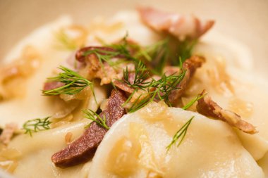 close up view of delicious varenyky with cracklings and dill
