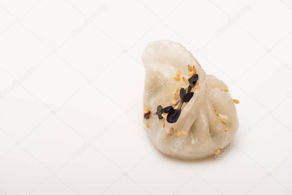 close up view of delicious Chinese boiled dumpling with seeds on white background