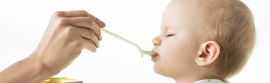 Side view of mother feeding baby with baby food isolated on white, panoramic shot