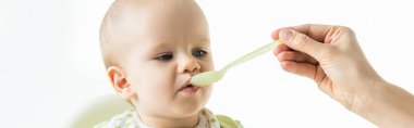 Panoramic shot of mother feeding infant with spoon isolated on white