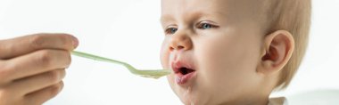Selective focus of mother feeding baby on feeding chair isolated on white, panoramic shot