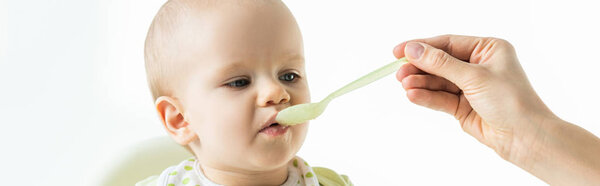 Panoramic shot of mother feeding infant with spoon isolated on white