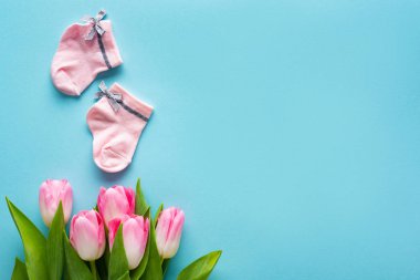 Mavi yüzeydeki lalelerin yanındaki pembe bebek çorapları manzarası, anneler günü konsepti. 