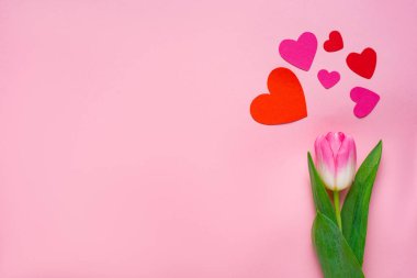 Top view of paper hearts and tulip on pink background with copy space clipart