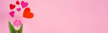 Kağıt kalplerin üst görüntüsü ve pembe arka planda lale, panoramik çekim