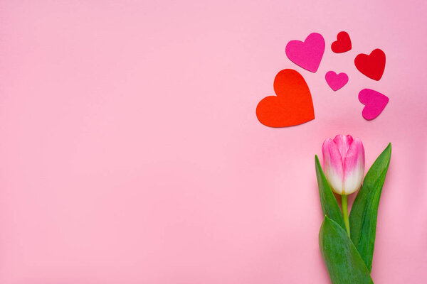 Вид сверху на бумажные сердца и тюльпаны на розовом фоне с копировальным пространством
