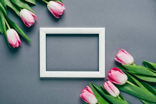 Top View White Frame Pink Tulips Grey Background — Stock Photo, Image
