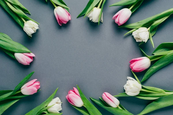 Top View Frame Tulips Grey Background Copy Space — Stock Photo, Image