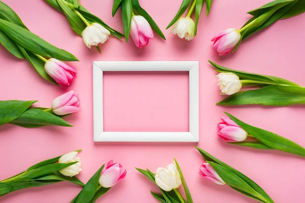 Vue Dessus Des Tulipes Autour Cadre Blanc Vide Sur Fond — Photo