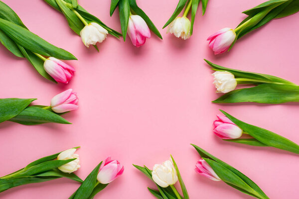 Top view of round frame with tulips on pink background