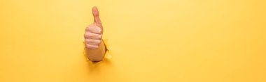 cropped view of man showing thumb up through yellow paper hole, panoramic shot clipart