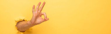 cropped view of man showing ok sign through yellow paper hole, panoramic shot clipart