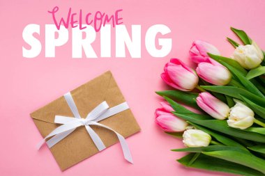 Top view of envelope with bow and bouquet of tulips on pink surface, welcome spring illustration clipart