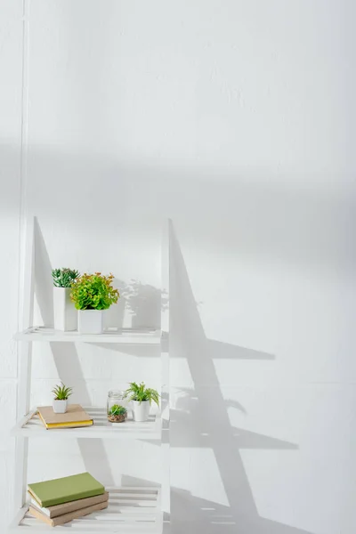 Kitaplıklar Bitkiler Güneş Işığıyla Beyaz Duvarın Yanındaki Kitaplıkta — Stok fotoğraf