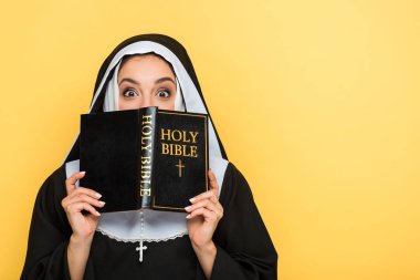 Gri üzerine izole edilmiş kutsal İncil 'i okuyan şokta bir rahibe.