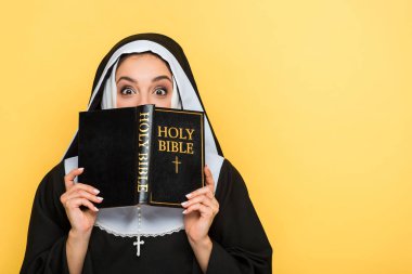 shocked nun reading holy bible isolated on grey clipart