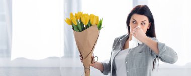 panoramic shot of sneezing woman with pollen allergy looking at tulips  clipart