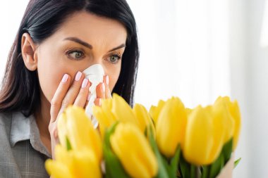 selective focus of woman with pollen allergy sneezing and looking at tulips  clipart